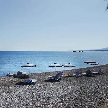 Petroto * Киотари